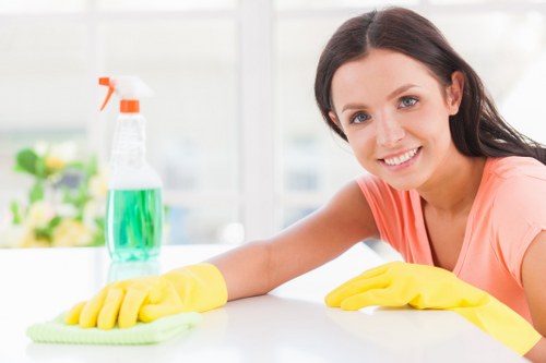 Cleaning supplies and organised workspace for business premises in Ruislip
