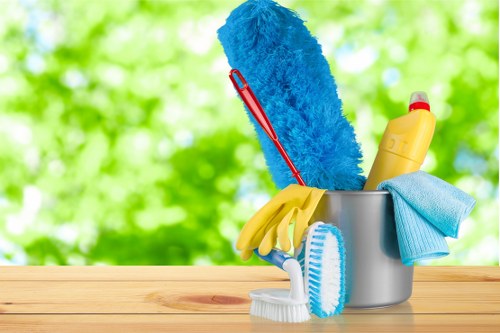 Professional mattress cleaning for homes in Ruislip