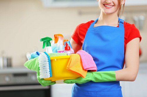 Regular cleaning service for a Ruislip home living room