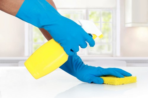 Deep carpet cleaning equipment used in a local Ruislip property