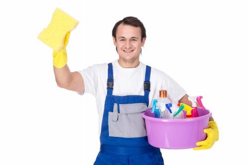 Accessibility statement introduction for Cleaners Ruislip website