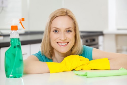 Screen-reader friendly cleaning services information for Ruislip