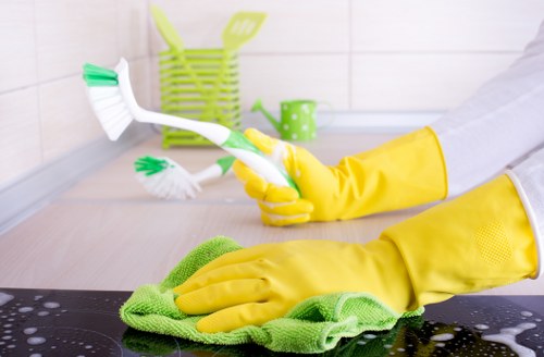 Regular home cleaning visit in a Ruislip property