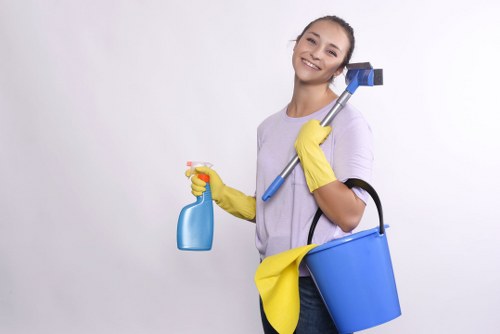 Deep cleaning treatment for a mattress in a local bedroom