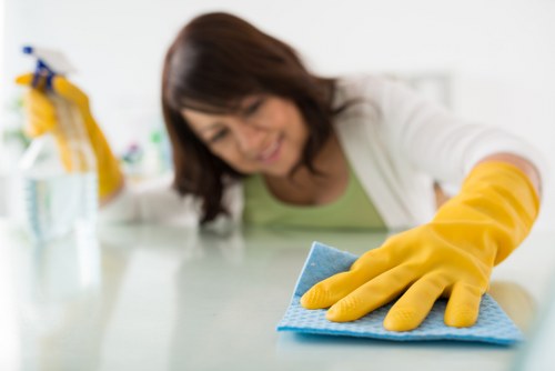 Local cleaner carrying out regular cleaning in a Ruislip property